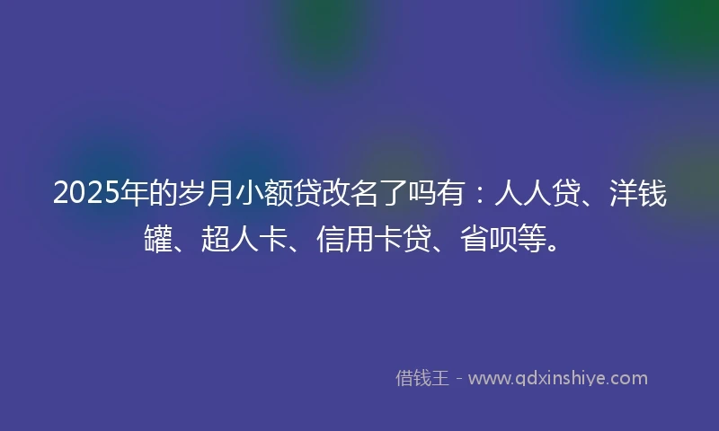 2025年的岁月小额贷改名了吗有：人人贷、洋钱罐、超人卡、信用卡贷、省呗等。