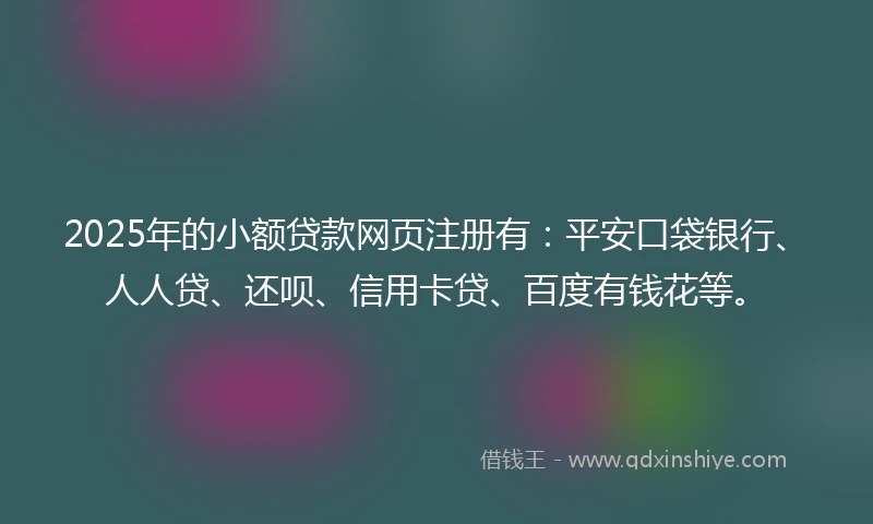 2025年的小额贷款网页注册有：平安口袋银行、人人贷、还呗、信用卡贷、百度有钱花等。
