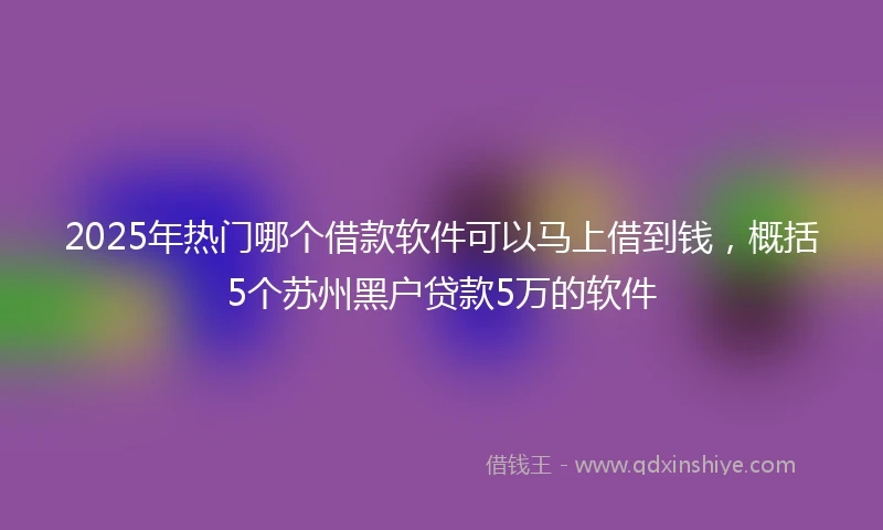 2025年热门哪个借款软件可以马上借到钱，概括5个苏州黑户贷款5万的软件
