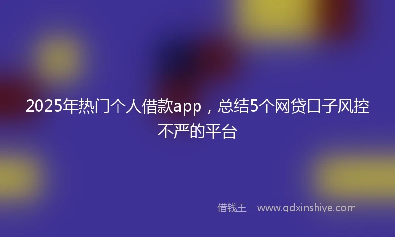 2025年热门个人借款app，总结5个网贷口子风控不严的平台