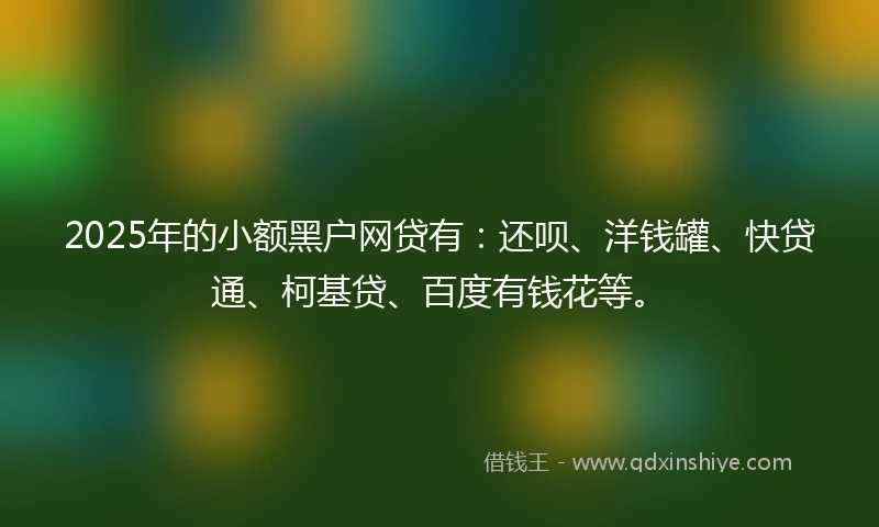 2025年的小额黑户网贷有：还呗、洋钱罐、快贷通、柯基贷、百度有钱花等。