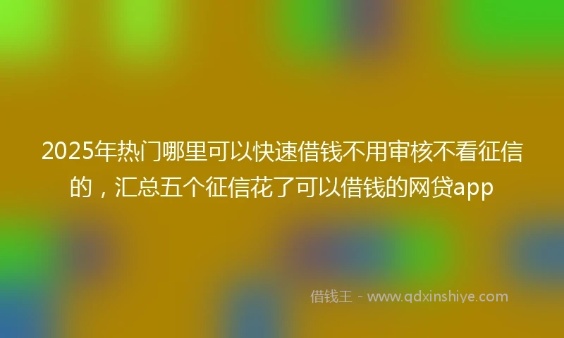 2025年热门哪里可以快速借钱不用审核不看征信的，汇总五个征信花了可以借钱的网贷app
