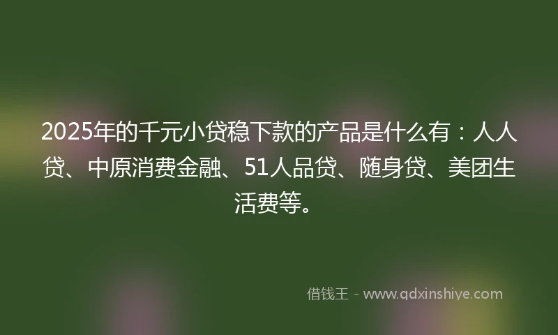 2025年的千元小贷稳下款的产品是什么有：人人贷、中原消费金融、51人品贷、随身贷、美团生活费等。