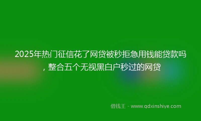 2025年热门征信花了网贷被秒拒急用钱能贷款吗，整合五个无视黑白户秒过的网贷