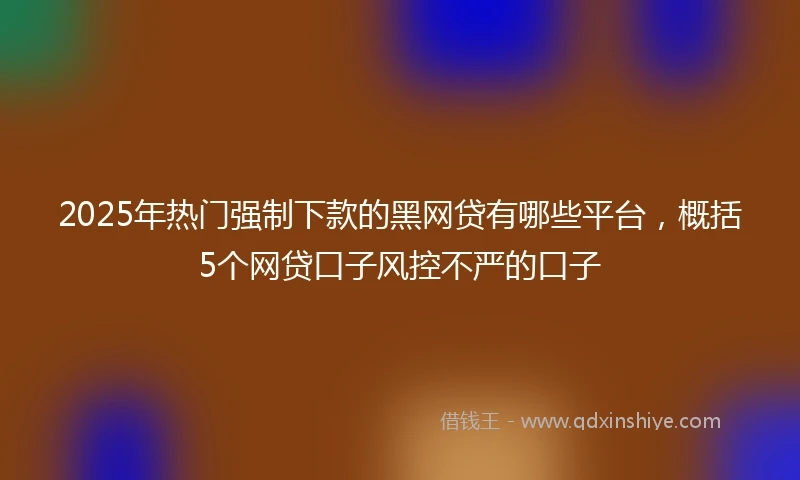 2025年热门强制下款的黑网贷有哪些平台，概括5个网贷口子风控不严的口子