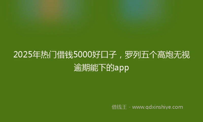 2025年热门借钱5000好口子，罗列五个高炮无视逾期能下的app