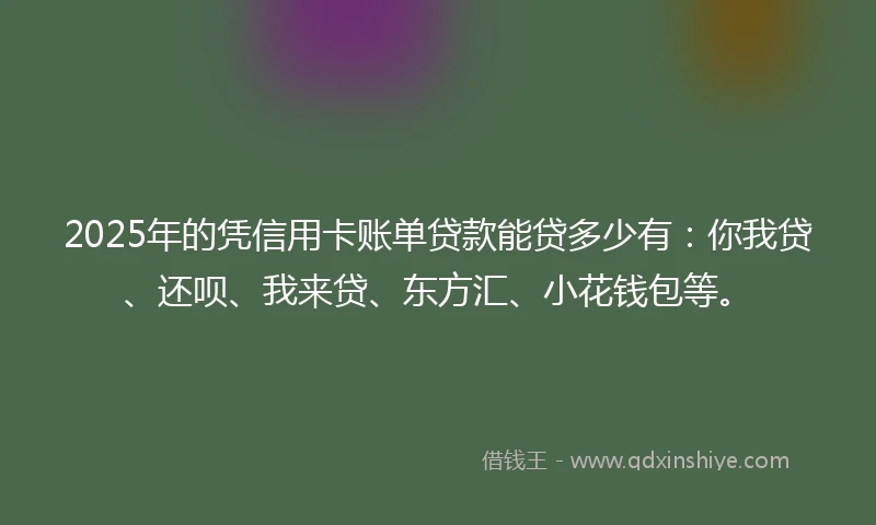 2025年的凭信用卡账单贷款能贷多少有：你我贷、还呗、我来贷、东方汇、小花钱包等。