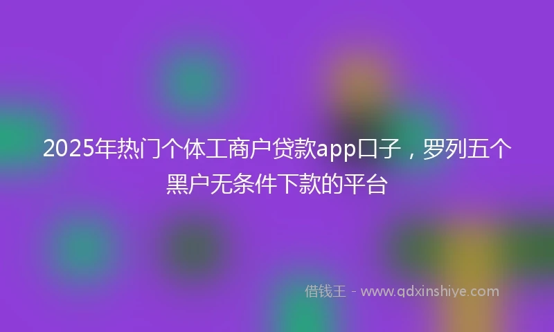 2025年热门个体工商户贷款app口子，罗列五个黑户无条件下款的平台