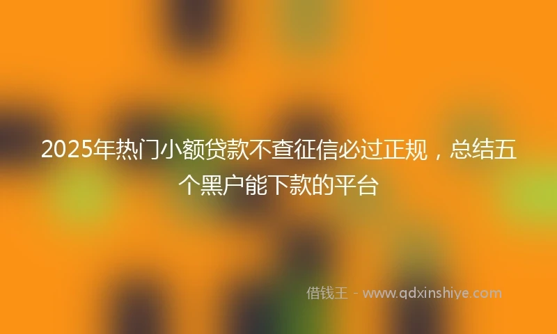 2025年热门小额贷款不查征信必过正规，总结五个黑户能下款的平台