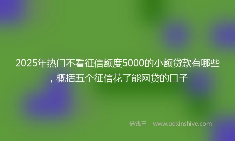 2025年热门不看征信额度5000的小额贷款有哪些，概括五个征信花了能网贷的口子