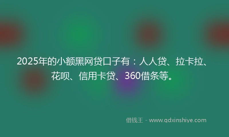 2025年的小额黑网贷口子有：人人贷、拉卡拉、花呗、信用卡贷、360借条等。