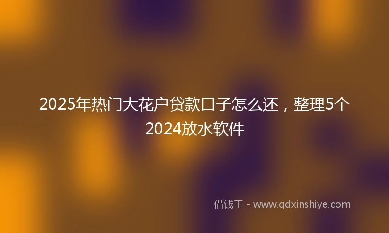 2025年热门大花户贷款口子怎么还，整理5个2024放水软件