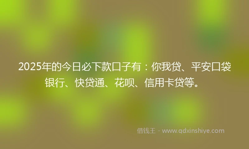 2025年的今日必下款口子有：你我贷、平安口袋银行、快贷通、花呗、信用卡贷等。