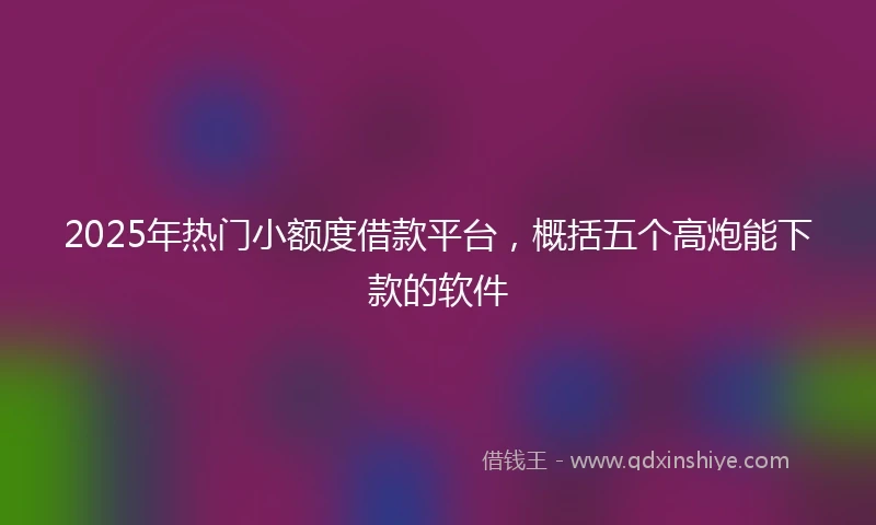 2025年热门小额度借款平台，概括五个高炮能下款的软件