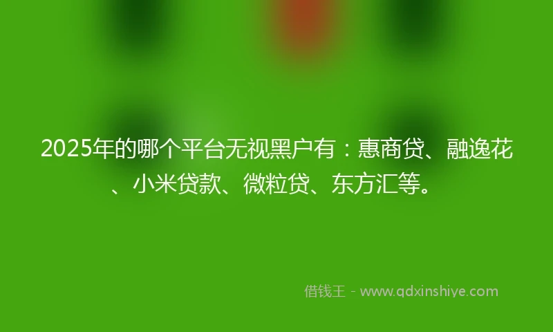 2025年的哪个平台无视黑户有：惠商贷、融逸花、小米贷款、微粒贷、东方汇等。