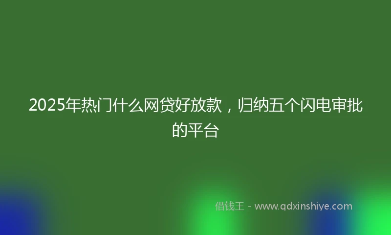 2025年热门什么网贷好放款，归纳五个闪电审批的平台