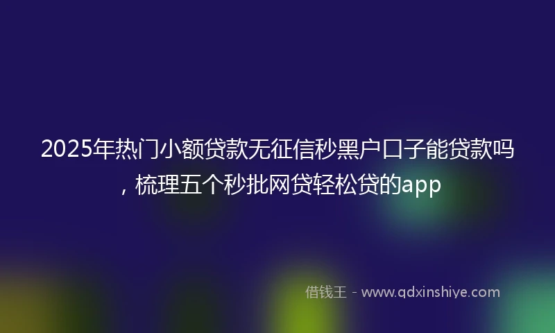 2025年热门小额贷款无征信秒黑户口子能贷款吗，梳理五个秒批网贷轻松贷的app