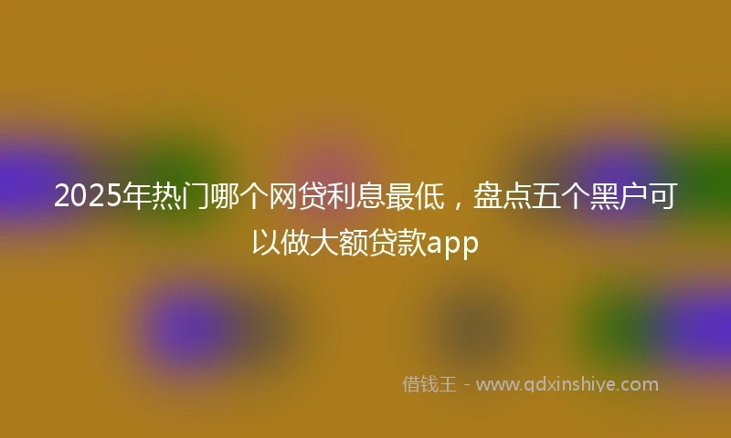 2025年热门哪个网贷利息最低，盘点五个黑户可以做大额贷款app