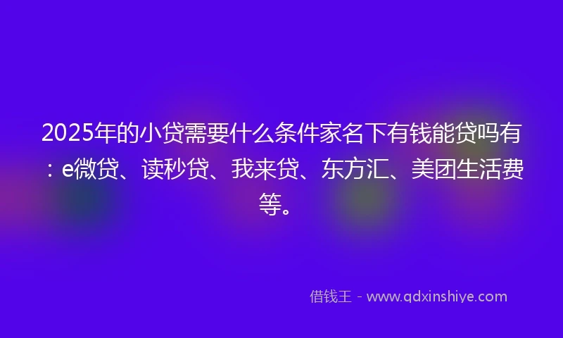 2025年的小贷需要什么条件家名下有钱能贷吗有：e微贷、读秒贷、我来贷、东方汇、美团生活费等。
