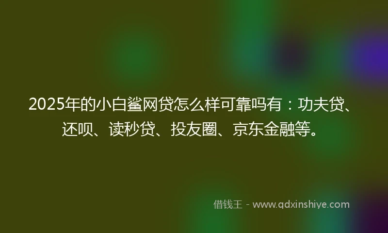 2025年的小白鲨网贷怎么样可靠吗有：功夫贷、还呗、读秒贷、投友圈、京东金融等。