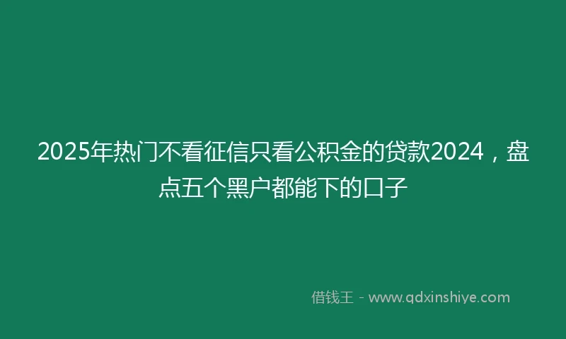 2025年热门不看征信只看公积金的贷款2024，盘点五个黑户都能下的口子