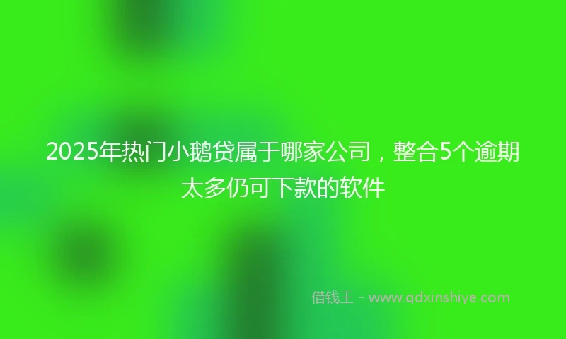 2025年热门小鹅贷属于哪家公司，整合5个逾期太多仍可下款的软件