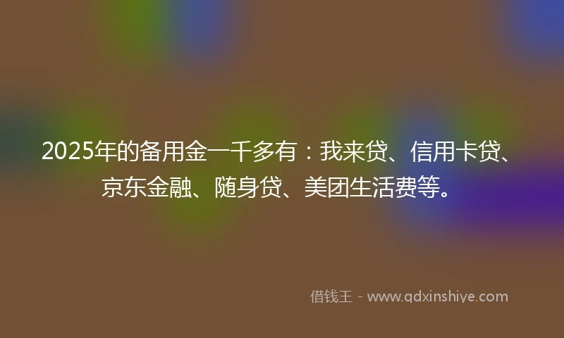 2025年的备用金一千多有：我来贷、信用卡贷、京东金融、随身贷、美团生活费等。