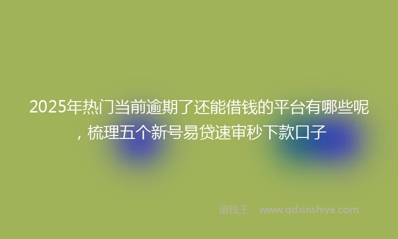 2025年热门当前逾期了还能借钱的平台有哪些呢，梳理五个新号易贷速审秒下款口子