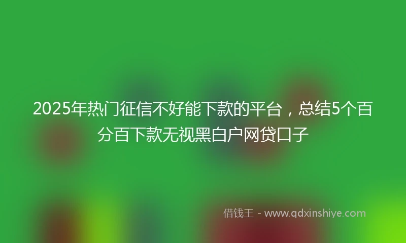 2025年热门征信不好能下款的平台，总结5个百分百下款无视黑白户网贷口子