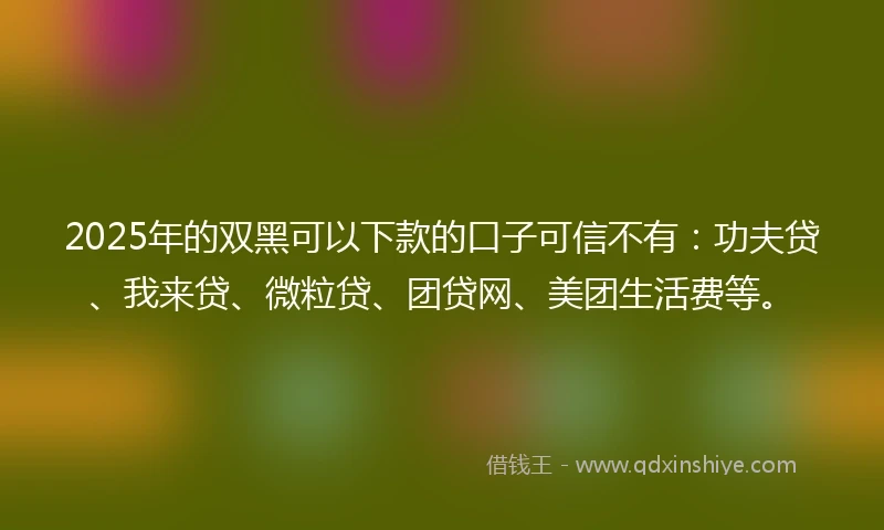 2025年的双黑可以下款的口子可信不有：功夫贷、我来贷、微粒贷、团贷网、美团生活费等。