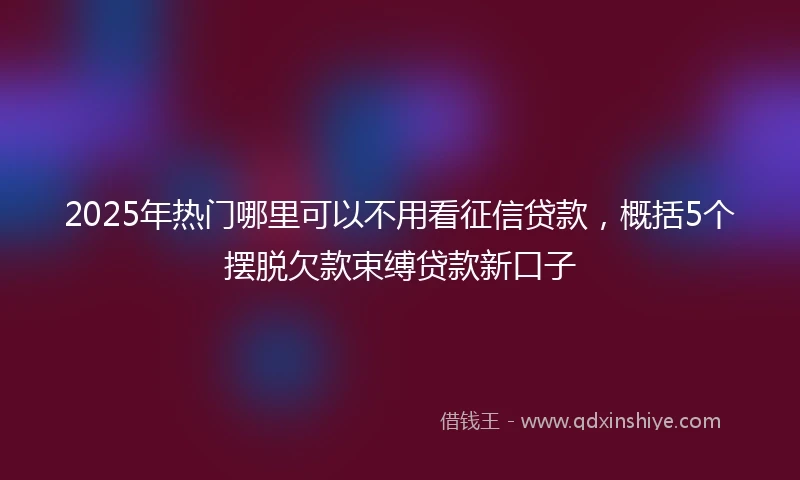 2025年热门哪里可以不用看征信贷款，概括5个摆脱欠款束缚贷款新口子