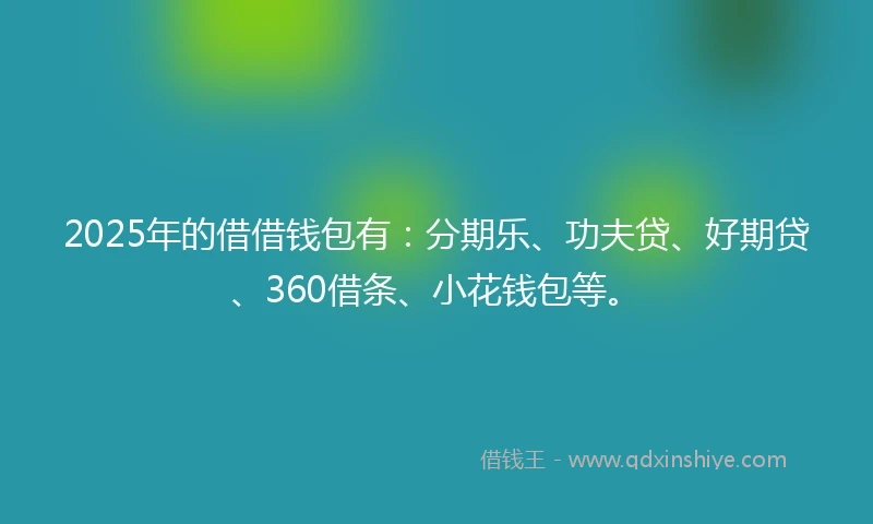 2025年的借借钱包有：分期乐、功夫贷、好期贷、360借条、小花钱包等。