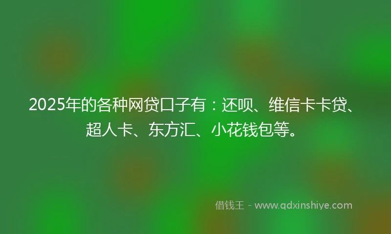 2025年的各种网贷口子有：还呗、维信卡卡贷、超人卡、东方汇、小花钱包等。