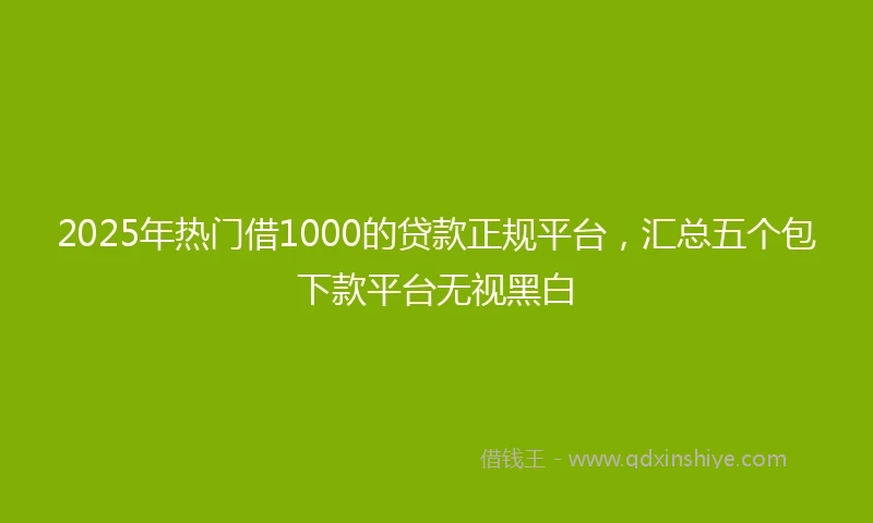 2025年热门借1000的贷款正规平台，汇总五个包下款平台无视黑白