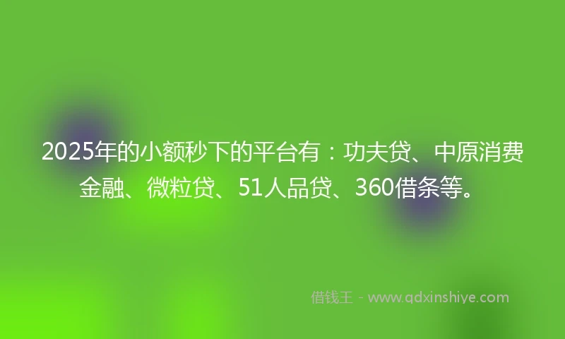 2025年的小额秒下的平台有：功夫贷、中原消费金融、微粒贷、51人品贷、360借条等。