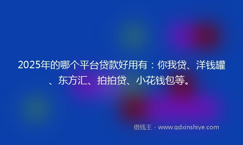 2025年的哪个平台贷款好用有：你我贷、洋钱罐、东方汇、拍拍贷、小花钱包等。