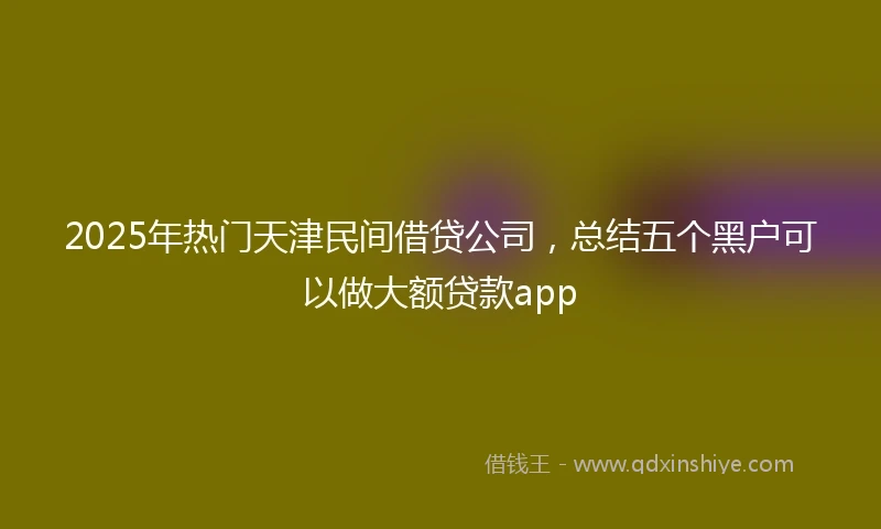 2025年热门天津民间借贷公司，总结五个黑户可以做大额贷款app