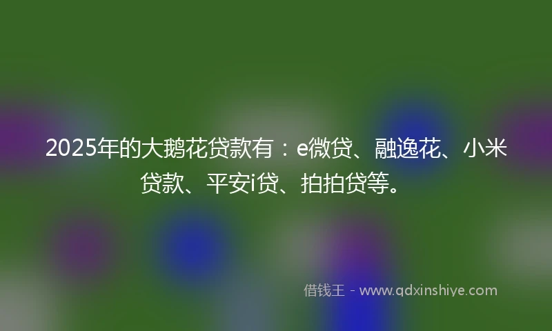 2025年的大鹅花贷款有：e微贷、融逸花、小米贷款、平安i贷、拍拍贷等。