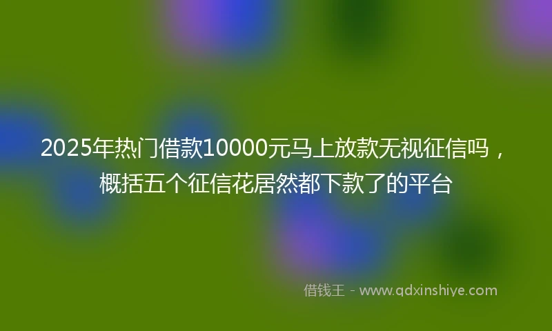 2025年热门借款10000元马上放款无视征信吗，概括五个征信花居然都下款了的平台