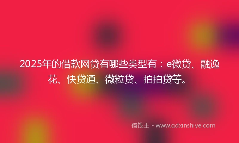 2025年的借款网贷有哪些类型有：e微贷、融逸花、快贷通、微粒贷、拍拍贷等。