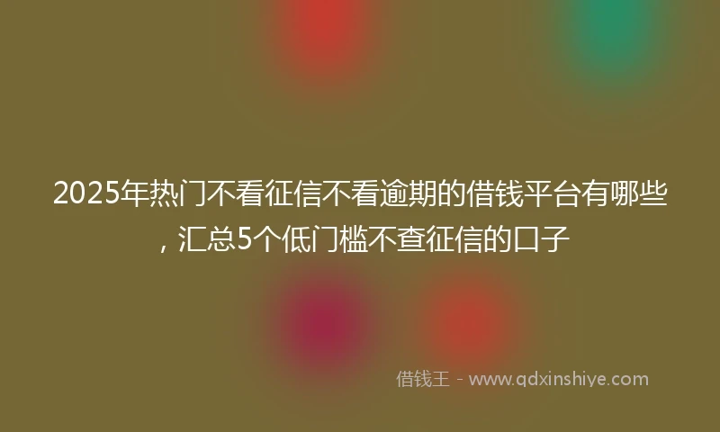 2025年热门不看征信不看逾期的借钱平台有哪些，汇总5个低门槛不查征信的口子