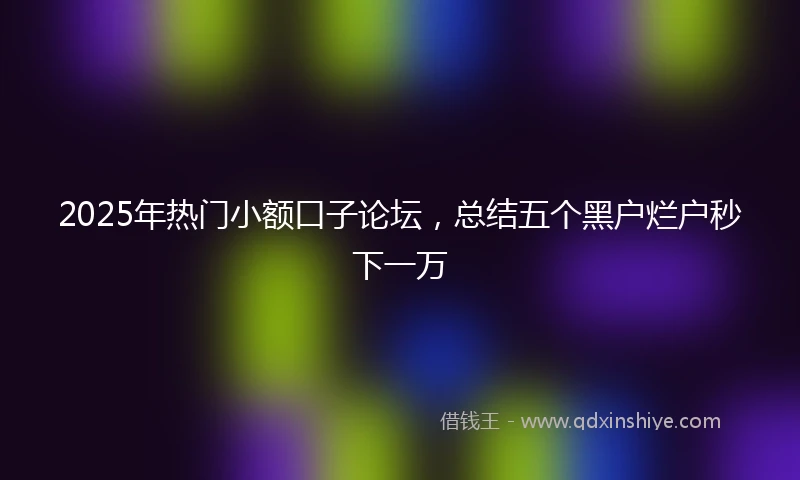 2025年热门小额口子论坛，总结五个黑户烂户秒下一万