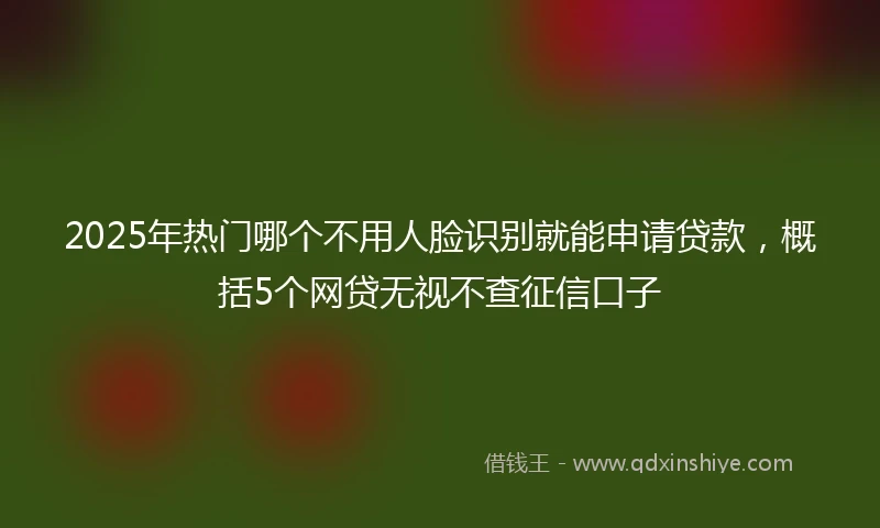 2025年热门哪个不用人脸识别就能申请贷款，概括5个网贷无视不查征信口子