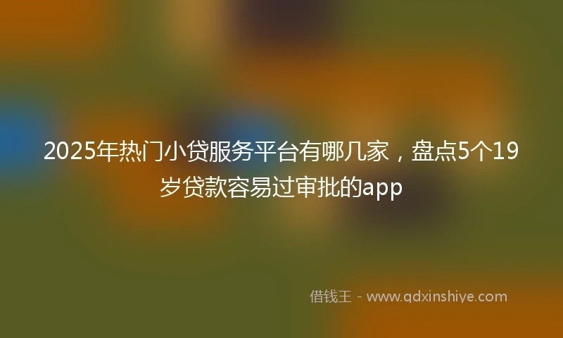 2025年热门小贷服务平台有哪几家，盘点5个19岁贷款容易过审批的app