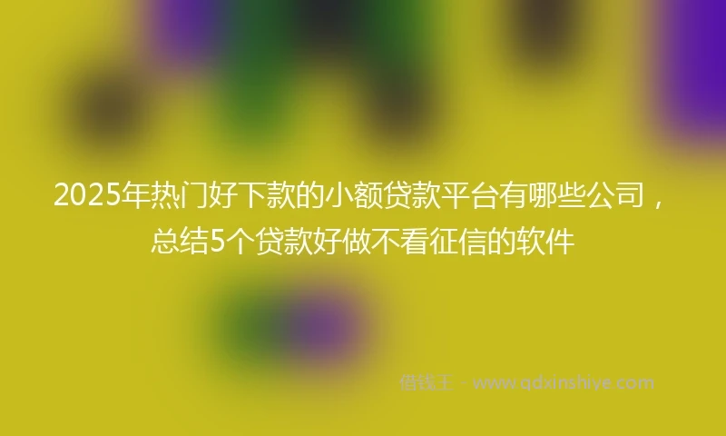 2025年热门好下款的小额贷款平台有哪些公司，总结5个贷款好做不看征信的软件