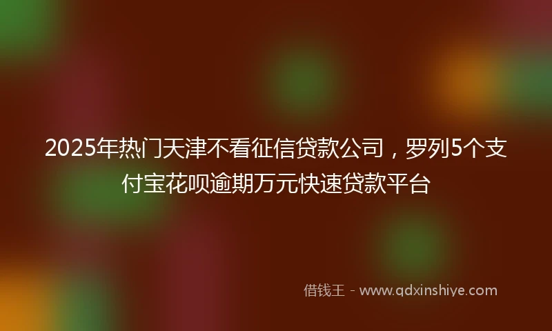 2025年热门天津不看征信贷款公司，罗列5个支付宝花呗逾期万元快速贷款平台