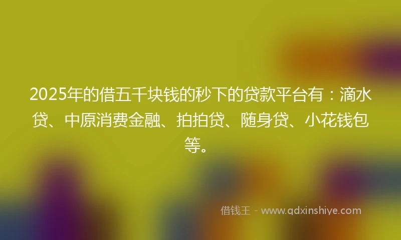 2025年的借五千块钱的秒下的贷款平台有：滴水贷、中原消费金融、拍拍贷、随身贷、小花钱包等。