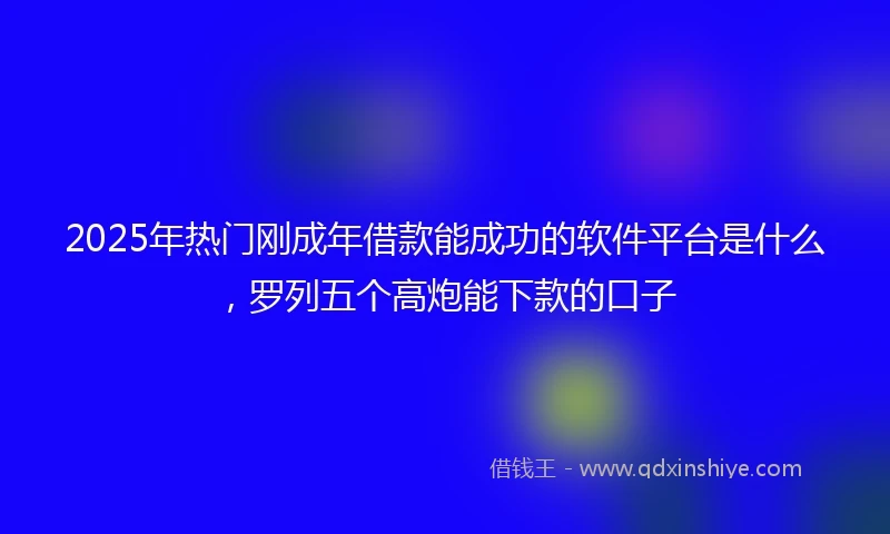 2025年热门刚成年借款能成功的软件平台是什么，罗列五个高炮能下款的口子