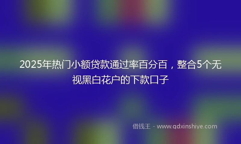 2025年热门小额贷款通过率百分百，整合5个无视黑白花户的下款口子
