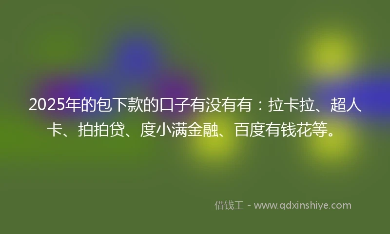 2025年的包下款的口子有没有有:拉卡拉、超人卡、拍拍贷、度小满金融、百度有钱花等。